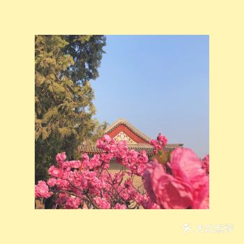 春天的颐和园，感觉超棒