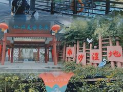 -大湾区中央湿地公园