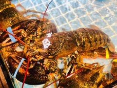 -79号渔船海鲜饭店(宝安店)