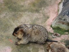 -长鹿旅游休博园