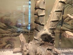 -香市公园-中国沉香文化博物馆