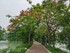 -星湖旅游景区七星岩