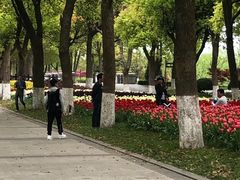 -上海鲜花港
