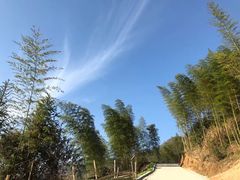 -罗田天堂寨风景区
