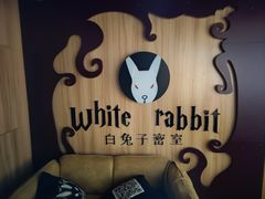 -白兔子密室(长寿路店)