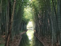 -同里国家湿地公园