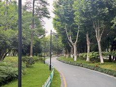 -月湖风景区