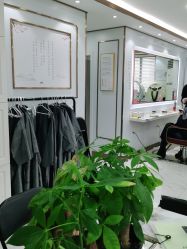 -镁连社·美联社