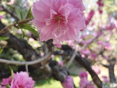 -朝阳公园游乐园