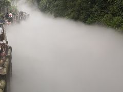 -川西竹海景区
