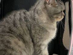 -美联众合动物医院·24h转诊中心