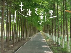 -柳鹭田园区