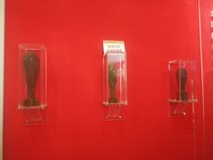 -铁道游击队纪念园