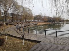 -大兴滨河森林公园