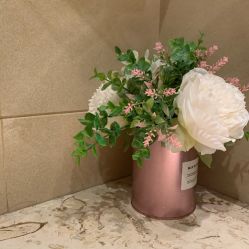 -F.N冻龄皮肤管理中心