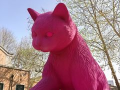 -西安电影制片厂