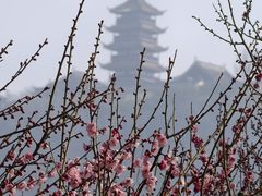 -狼山风景名胜区