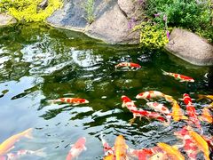 -罗红摄影艺术馆