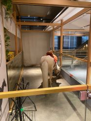 -造物庄园 萌宠纪(苏州湾歌林公园店)