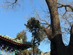 -贤良祠