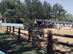 -大连森林动物园