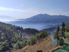 -紫鹊界梯田景区