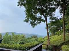 -天目湖涵田度假村