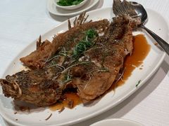 -金悦轩海鲜酒家(银河店)