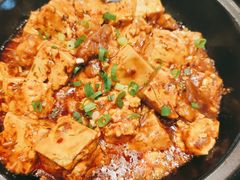 麻婆豆腐烧牛腩-飞鹿餐饮·陕南菜(北关店)