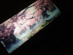 放映厅-万达影城(洛阳万达广场IMAX激光店)