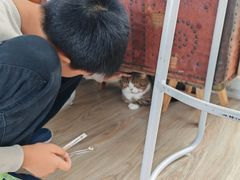 -小时光咖啡馆(北锣鼓巷店)