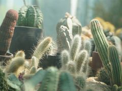 -国家植物园南园