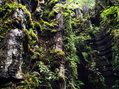 -梭布垭石林景区