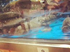 -盒马鲜生(财富中心店)