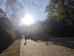 -南山风景名胜区