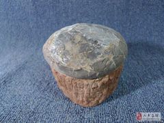 -中国西峡恐龙遗迹园