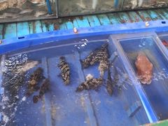 -蓝湾碧波·老字号·疍家非遗海上餐厅