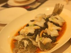 清蒸多宝鱼-利苑酒家(宜安广场店)