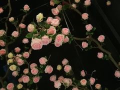 -韵秋荷(宝山龙湖天街店)