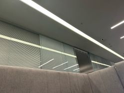 点击看大图 -桔子摄影