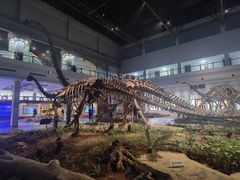 -自贡恐龙博物馆