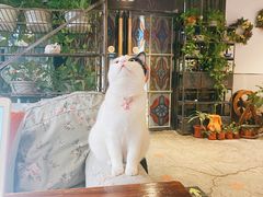 -么么咖啡(燕郊店)