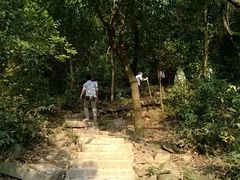 路面-火炉山森林公园