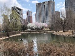 -长白岛森林公园