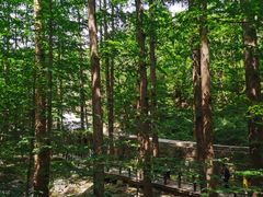 -北京西山国家森林公园