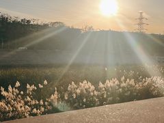 -北运河水利风景区