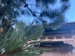 -阳台山自然风景区