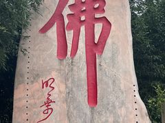 -南海禅寺