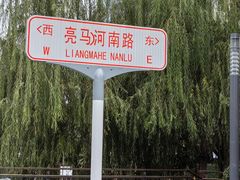 -三里屯东五街银杏大道