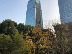 -重庆市江北嘴中央商务区中央公园